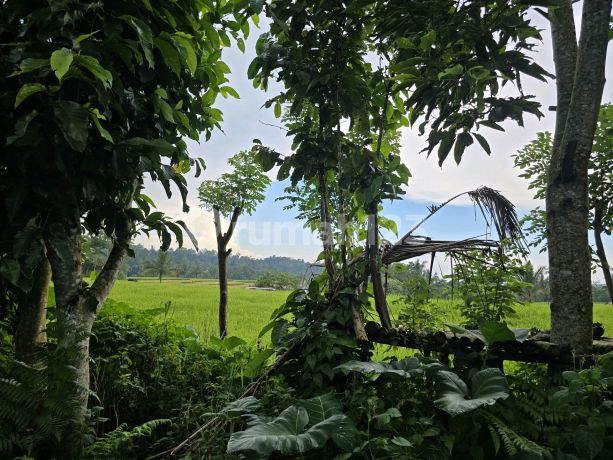 Dijual ******** Bukit ********