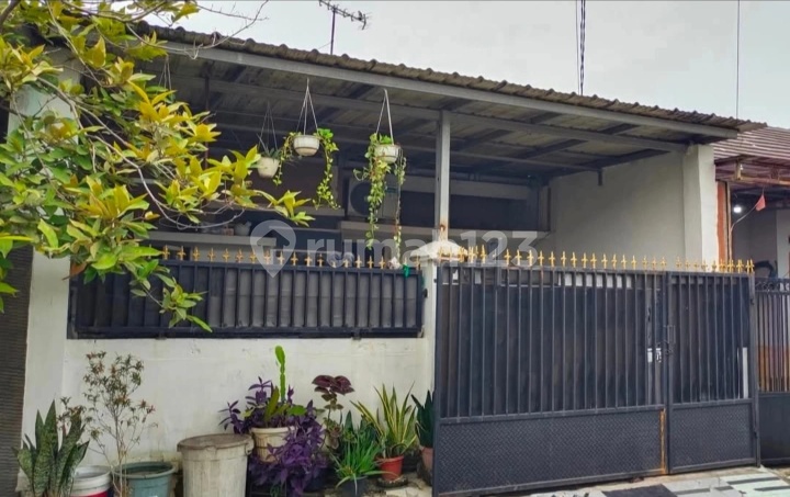 Rumah Murah Siap Huni,Bebas Banjir Dalam Cluster di Perumahan Panjibuwono City,Babelan,Bekasi