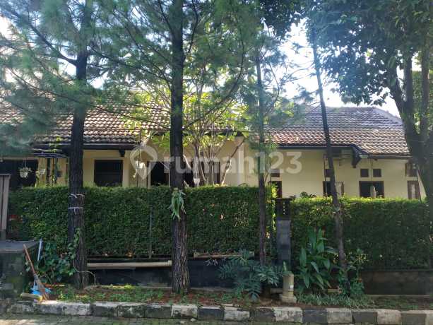 Rumah Luas Dan Asri Di Permata Puri 1 Cimanggis Depok Rumah Luas Dan Asri Di Permata Puri 1 Cimanggis Depok