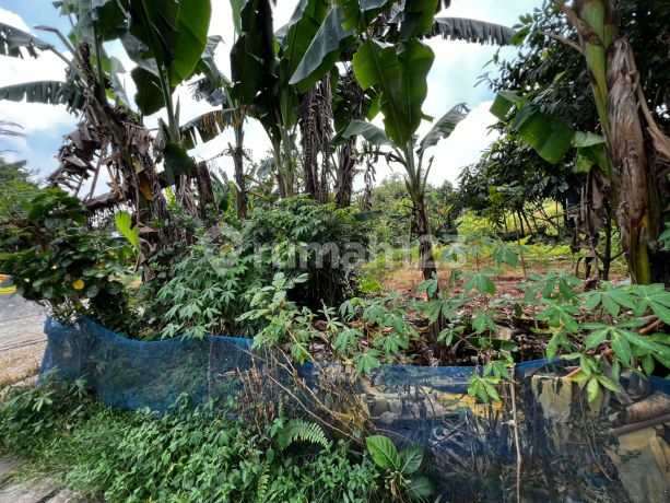 Kavling Siap Bangun di Jl Pondok Aries (Depan Villa Panorama) Serpong Tangerang Selatan Kavling Siap Bangun di Jl Pondok Aries (Depan Villa Panorama) Serpong Tangerang Selatan