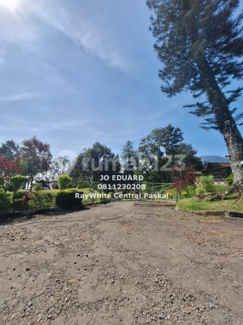 Tanah Kebun Mdpl 1.200 Lokasi Perkebunan Ciwidey Kab. Bandung