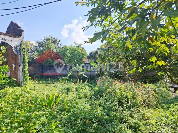 Tanah 300m2 Di Malang Anggun Sejahtera Lawang Tanah 300m2 Di Malang Anggun Sejahtera Lawang