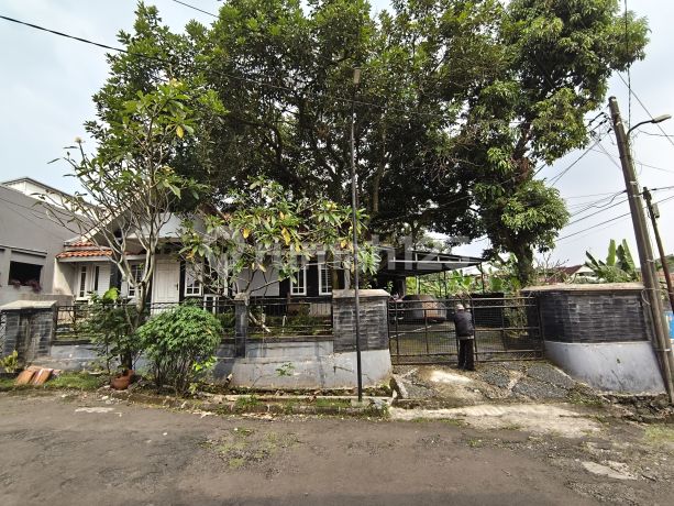 Tawar Aja Dibawah Pasar Hoek Serius Jual Tawar Aja Dibawah Pasar Hoek Serius Jual