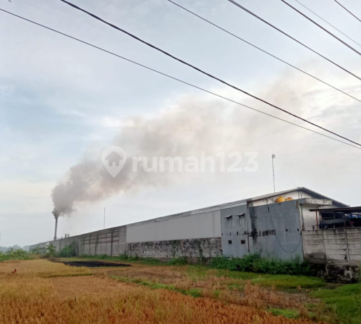 JUAL EX PABRIK GRESIK Raya Bringkang Mojotengah Jawa Timur