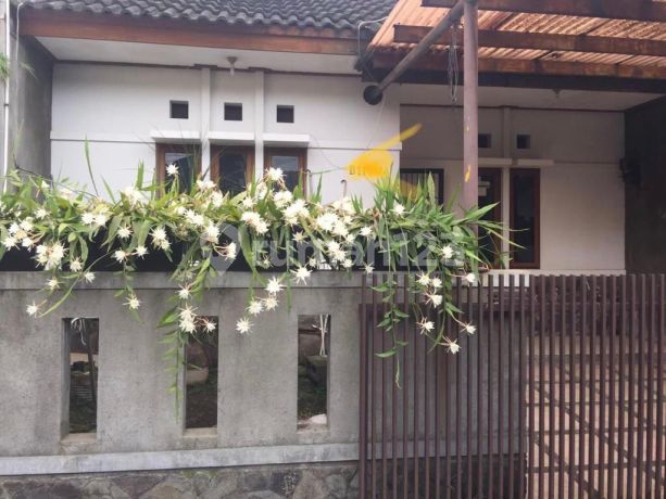 Rumah Bagus 1lantai Di Pasadena Residence