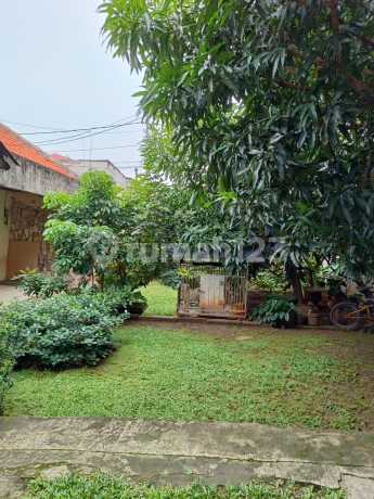 jual rumah hitung tanah saja, lokasi strategis, bebas banjir jual rumah hitung tanah saja, lokasi strategis, bebas banjir