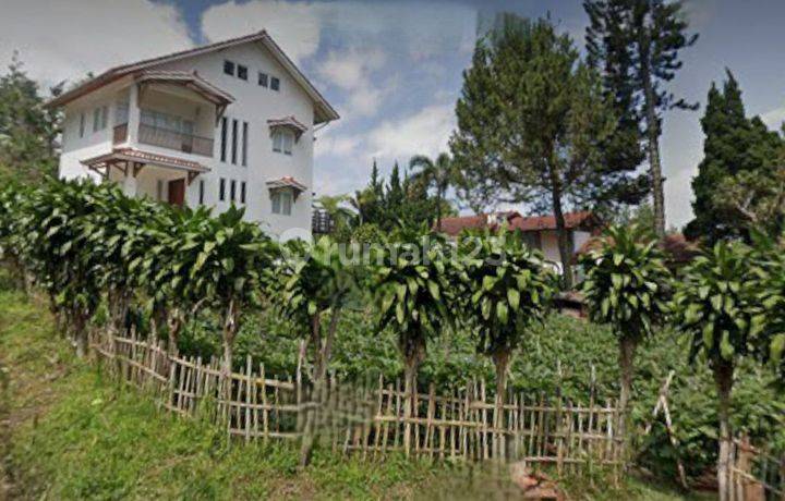Kavling Murah Villa Istana Bunga Lembang Di Bandung