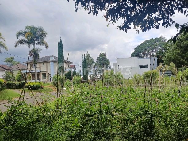 Kavling Mainrod Villa Istana Bunga Lembang Bandung