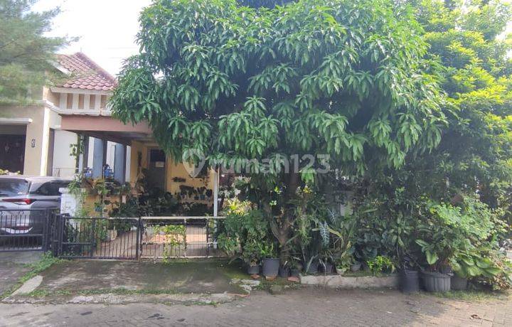 Rumah Dijual Di Bumi Sentosa Cibinong. Siap Huni. Shm