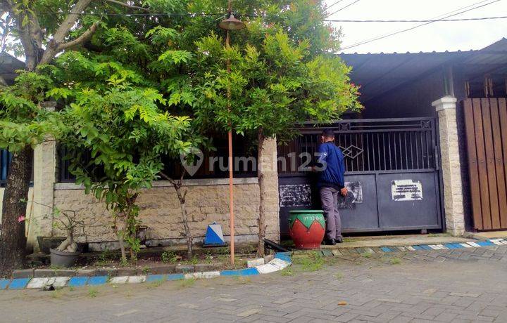 RUMAH SWAN MENGANTI MAS REGENCY GRESIK 97423