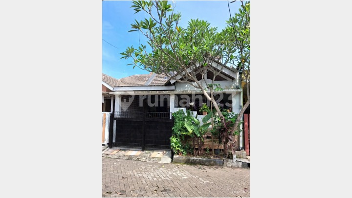 Rumah Full Renovasi , Harga Menarik Dalam Komplek di Pamulang Rumah Full Renovasi , Harga Menarik Dalam Komplek di Pamulang