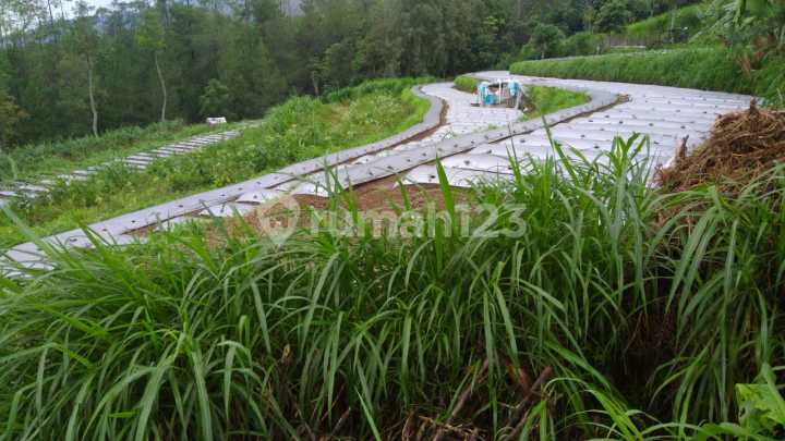Tanah Siap Bangun Getasan Kopeng Salatiga Tanah Siap Bangun Getasan Kopeng Salatiga