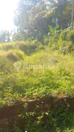 Tanah Siap Bangun di Krenceng Sidomukti,.Salatiga