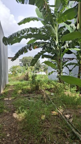 Tanah Kavling Di Perumahan Jatinegara Baru Duren Sawit Jakarta Timur Tanah Kavling Di Perumahan Jatinegara Baru Duren Sawit Jakarta Timur