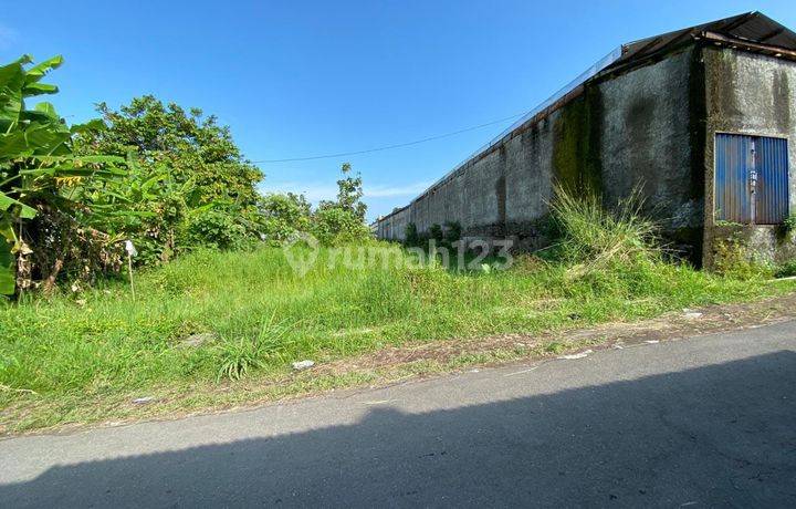 Dijual Tanah 1087 m2, Pekarangan, Strategis, Dekat Kopi Klotok Yogyakarta
