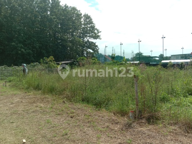 Tanah di  Klipang Semarang