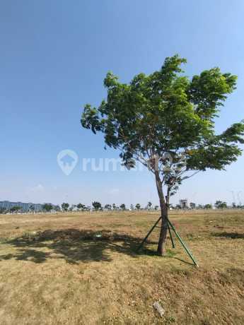 Best Deal, Wall Street Plot PIK 2 Area 1200m2 Prime Position