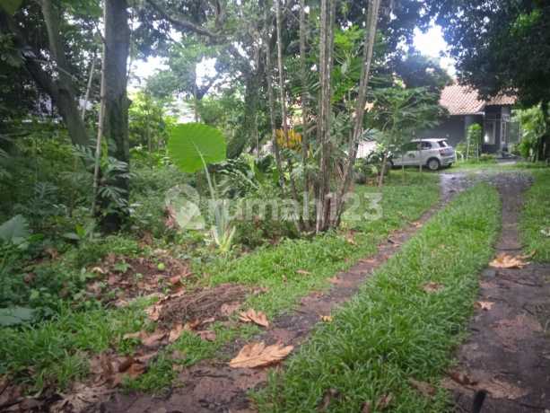 Pangkalan Jati Raya Dekat Akses Tol Pangkalan Jati Raya Dekat Akses Tol