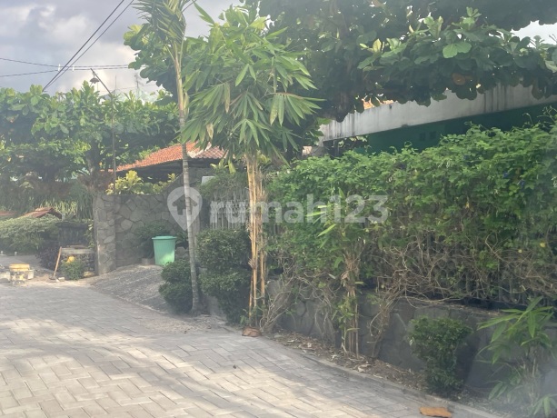 Homestead Land in Pogung Baru Near UGM