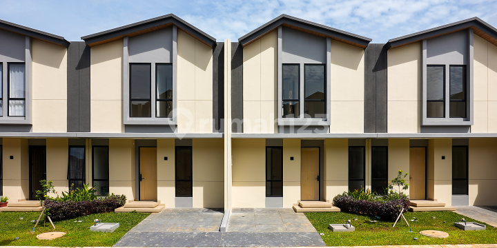 Aster di Suvarna Sutera