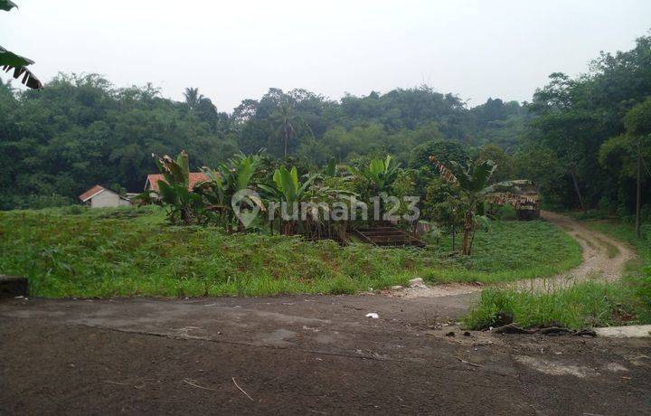 Dijual Murah Tanah Kavling Diarea Perumahan Ciampea Asri Dekat Kampus IPB