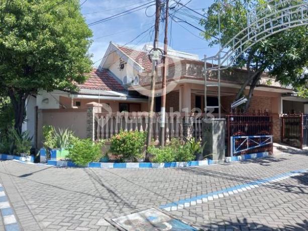 Dijual Rumah di Rewwin Waru Sidoarjo Surabaya Dijual Rumah di Rewwin Waru Sidoarjo Surabaya