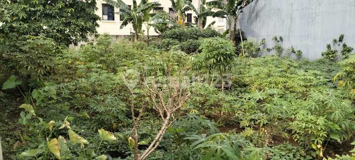 Dijual tanah kavling intan pakuan bogor