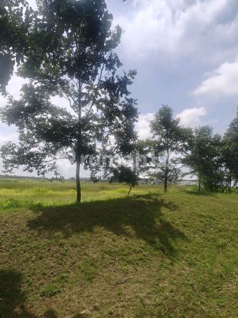 Kavling Komersil C B D Pik 2, Dijual dan Disewa