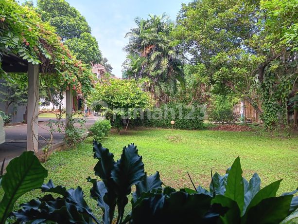 Lokasi Terbaik Pejaten Kemang Cocok Cluster / Hunian Lokasi Terbaik Pejaten Kemang Cocok Cluster / Hunian