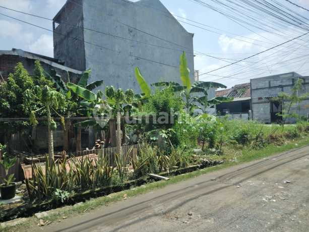 Dijual Kavlingan Griya Sumput Asri Driyorejo Gresik Dijual Kavlingan Griya Sumput Asri Driyorejo Gresik