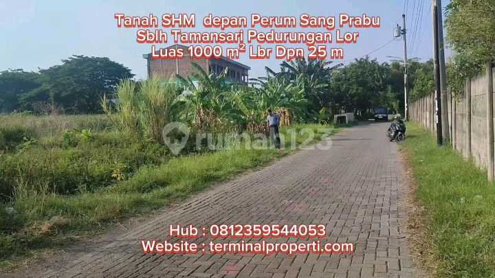 Tanah Dijual SHM Hak Milik Dpn Perum Sang Prabu sblh Tamansari Majapahit Pedurungan Smg Timur Tanah Dijual SHM Hak Milik Dpn Perum Sang Prabu sblh Tamansari Majapahit Pedurungan Smg Timur