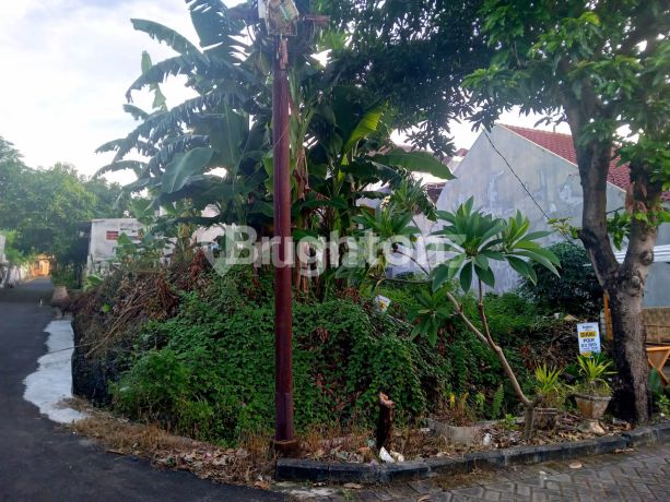 Tanah Kavling di Perumahan Puri Lidah Kulon Indah Surabaya Barat