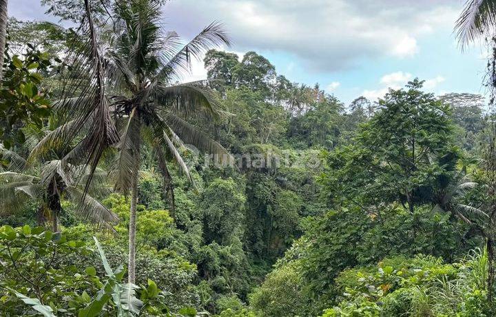 Lahan Dengan View Bagus Di Keliki, Ubud Riverside - Bali