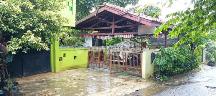 Rumah Lingkungan Asri Harga NJOP Tanah di Komplek PLN Duren Tiga Jakarta Selatan Rumah Lingkungan Asri Harga NJOP Tanah di Komplek PLN Duren Tiga Jakarta Selatan