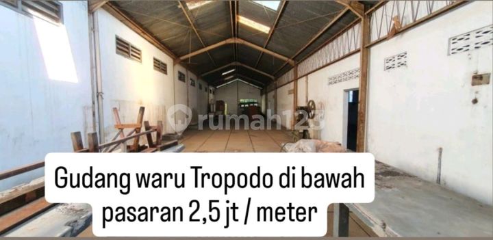 Waru Tropodo Warehouse Below Market Price Waru Tropodo Warehouse Below Market Price