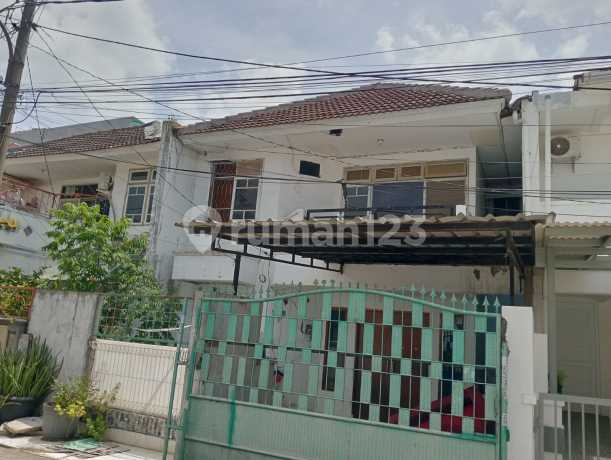 Dijual Rumah 2 Lantai Di Griya Dadap (lantai 2 Sarang Wallet Aktif - Lebih Dari 100 Ekor Wallet) Dijual Rumah 2 Lantai Di Griya Dadap (lantai 2 Sarang Wallet Aktif - Lebih Dari 100 Ekor Wallet)