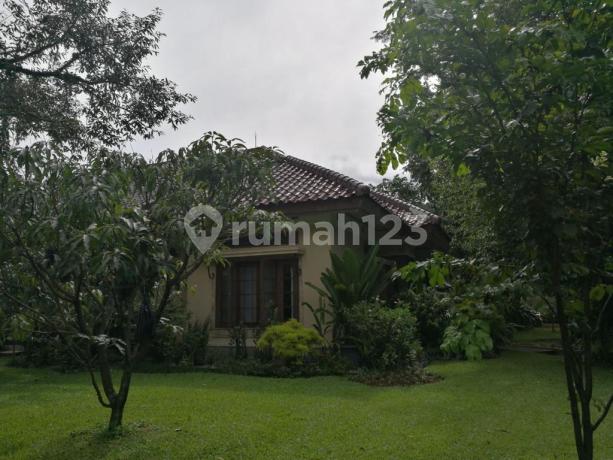 Dijual Rumah Villa Duta Area Bogor Alam Asri Dijual Rumah Villa Duta Area Bogor Alam Asri