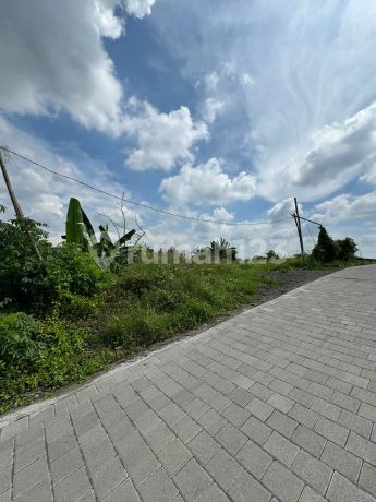 Tanah Kawasan Villa Dekat Pantai Kedungu