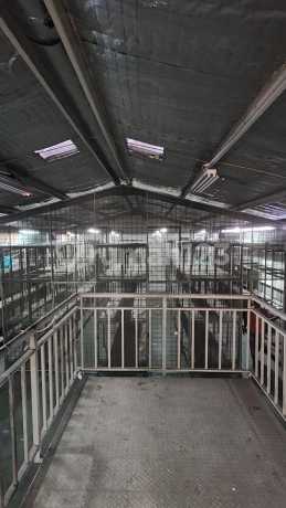 Ana Warehouse Size 9X20m Elang Laut Integrated Center