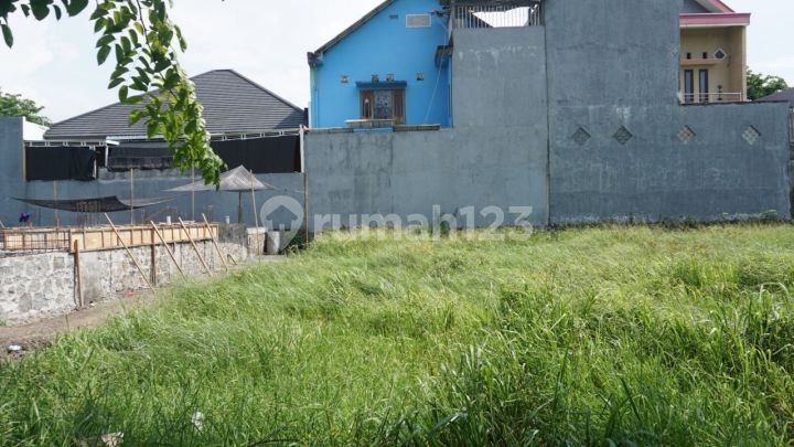 Tanah Murah Pondok Buana Bludru Kidul Sidoarjo 