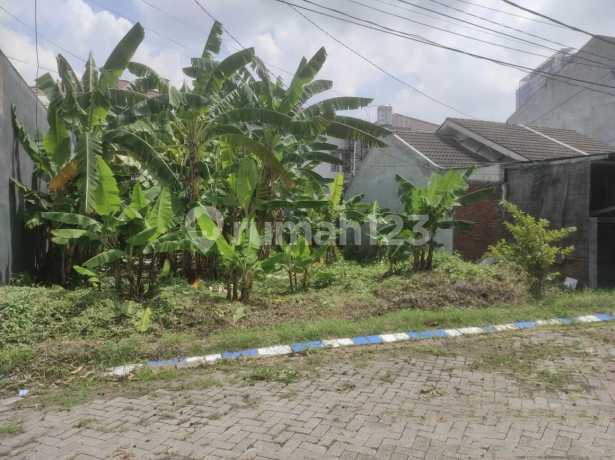 Tanah Murah Kahuripan Nirwana Sidoarjo 
