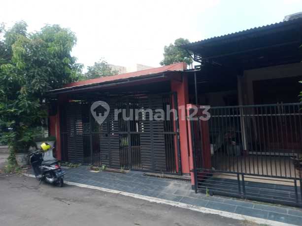 Jual Rumah Murah Di Perumahan Legok Permai Curug Bitung Karawacitangerang Jual Rumah Murah Di Perumahan Legok Permai Curug Bitung Karawacitangerang
