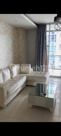 Dijual Apartemen Cbd Pluit Tower Akasia Luas 65 M2 1 Big Bedroom