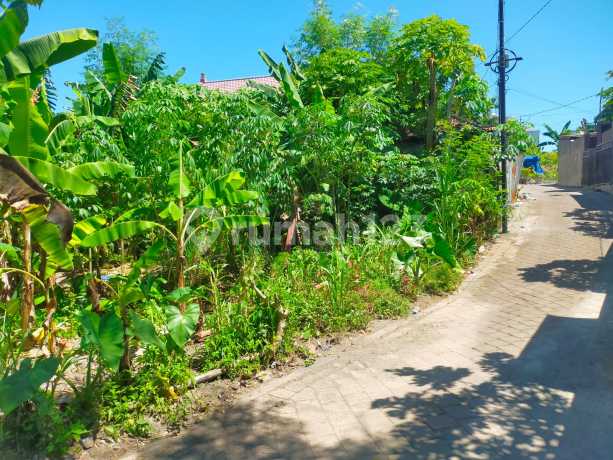 Tanah Pecahan Kecil di Ungasan Cocok untuk Rumah Harga Murah MR Tanah Pecahan Kecil di Ungasan Cocok untuk Rumah Harga Murah MR