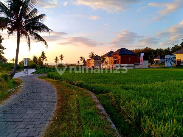 Tanah Cocok Rumah Kavling Singaraja Desa Panji Dusun Bangah