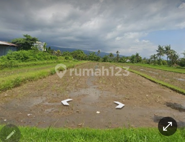 Tanah Sawah Cocok Kavling Perumahan Pinggir Jln Utama Desa Panji Singaraja