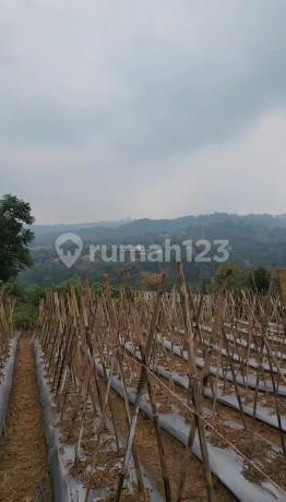 Tanah Area Wisata Lokasi Strategis Dago Giri Bandung