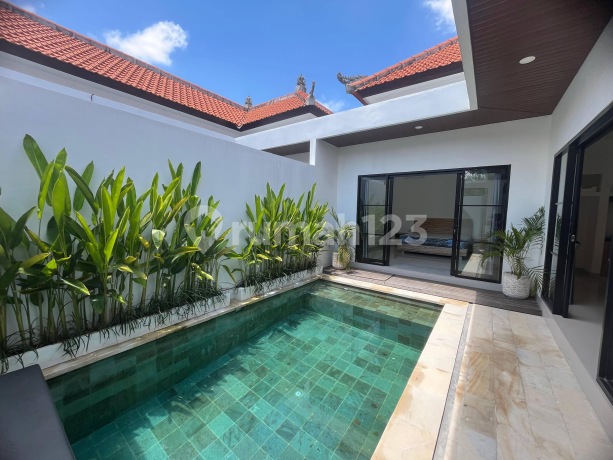 Villa Jalan Lebah Sari Kuta Utara Full Furnished Villa Jalan Lebah Sari Kuta Utara Full Furnished