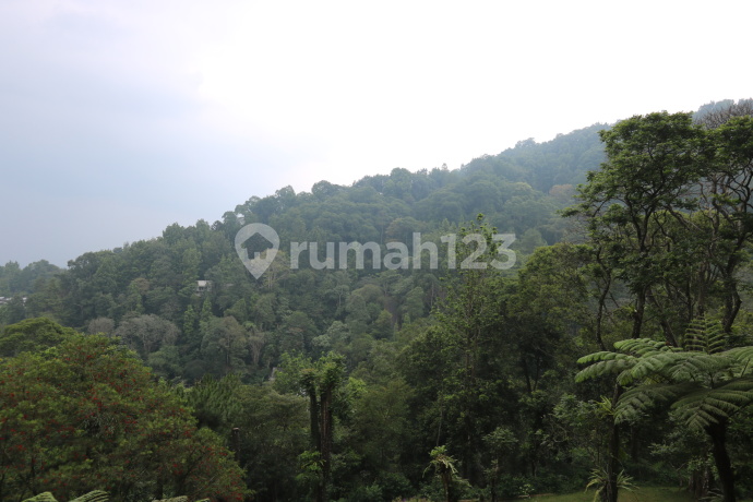 TANAH KAVLING, VIEW TERBAIK DI VILLA MEGA INDAH, MEGA MENDUNG, PUNCAK, AKSES MUDAH DARI SENTUL CITY, BOGOR TANAH KAVLING, VIEW TERBAIK DI VILLA MEGA INDAH, MEGA MENDUNG, PUNCAK, AKSES MUDAH DARI SENTUL CITY, BOGOR