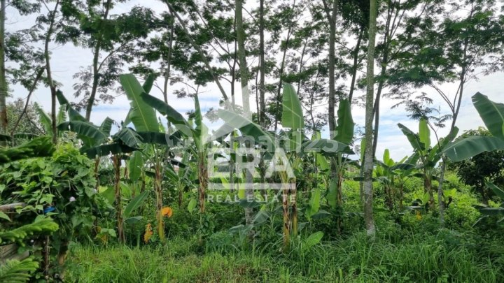 Tanah Jual Dekat Kampus Uni. Brawijaya 2, Unmer, Machung, Elpico Mall, Perumahan Austinville An Villa Puncak Tidar, View Cantik Pegunugungan Tanah Jual Dekat Kampus Uni. Brawijaya 2, Unmer, Machung, Elpico Mall, Perumahan Austinville An Villa Puncak Tidar, View Cantik Pegunugungan